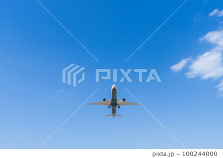 《飛行機》ボーイング Boeing 787-8 787-10 100244000