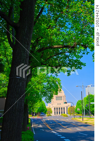 【東京都】5月・爽やかな青空のゴールデンウイークに新緑の国会議事堂を家族で観光 100244274