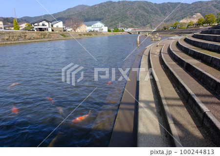 福井県敦賀市櫛川河川公園 100244813
