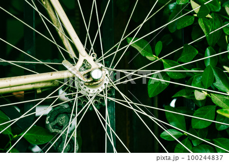 Metal spokes of an old vintage bicycle. Bike wheel details amidst green foliage. Eco-friendly transportation concept. Cycling in the forest, woods, park in the spring of summer. Round shape trend.  100244837