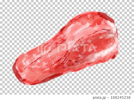 牛タンの塊肉の手描き和風イラスト 100245236