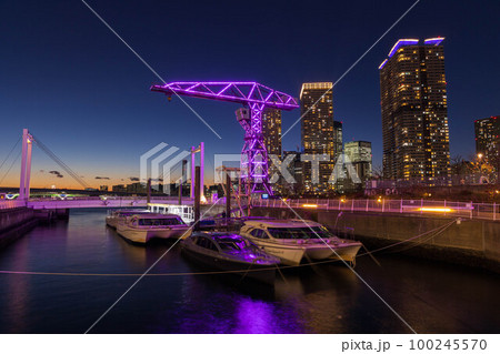 東京夜景 豊洲 アーバンゲートブリッジ 東京夜景 豊洲 アーバンゲートブリッジ 100245570