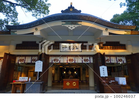 熊本 加藤神社 本殿 熊本 加藤神社 本殿 100246037