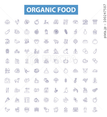 Organic food line icons, signs set. Organic, Food, Natural, Eco, Health, Nutritious, Fresh, Pure, Clean outline vector illustrations. Organic food line icons, signs set. Organic, Food, Natural, Eco, Health, Nutritious, Fresh, Pure, Clean outline vector illustrations. 100247587
