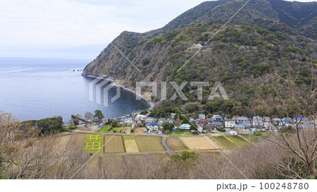 沼津市の春 沼津市の春 100248780