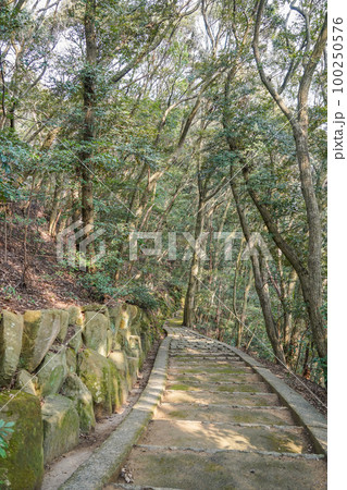 御館山公園の階段 100250576