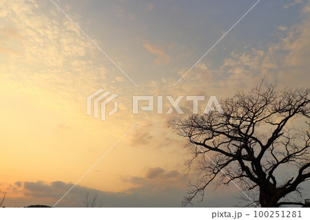 夕焼け空　雲　冬木 100251281