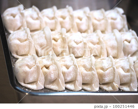 手作りのギョウザ 100251446
