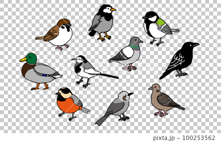 身近な野鳥イラストセット（シンプル）のイラスト素材