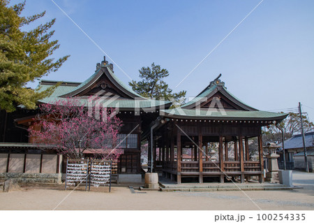 梅林で有名な兵庫県・明石市の御厨神社の本殿 梅林で有名な兵庫県・明石市の御厨神社の本殿 100254335