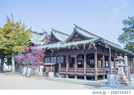 梅林で有名な兵庫県・明石市の御厨神社の本殿 100254337