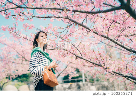 桜と若い女性 100255271