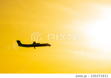 夕焼け空、着陸体勢の飛行機 100255831