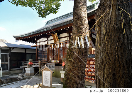 安倍晴明神社(本殿)　【大阪市阿倍野区】 100255869