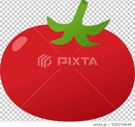 Tomato illustration 100259646