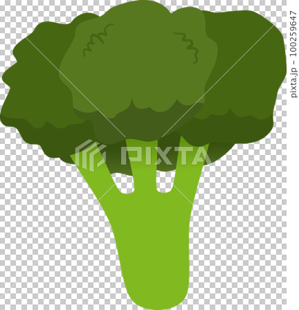 Broccoli illustration 100259647