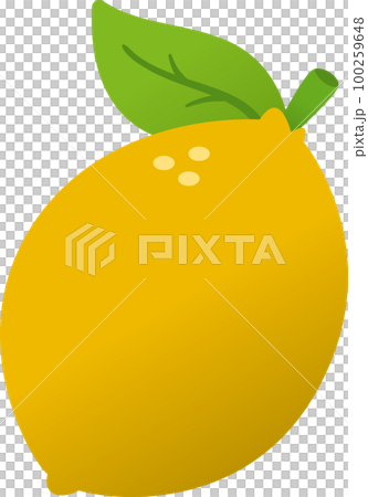 Lemon illustration 100259648