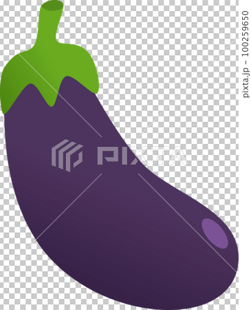 Eggplant illustration 100259650