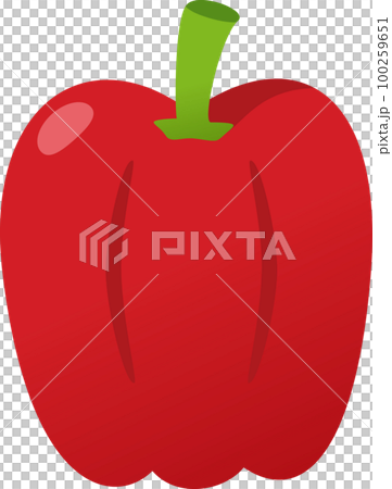 Bell pepper illustration 100259651