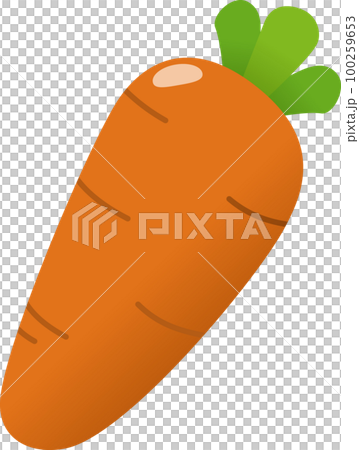 Carrot illustration 100259653
