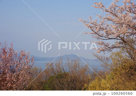 香川県さぬき市　大串自然公園から小豆島の碁石山方面を望む 100260560