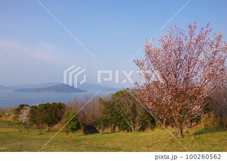 香川県さぬき市　大串自然公園から小豆島を望む 100260562