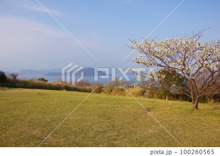 香川県さぬき市 大串自然公園から小豆島を望む 香川県さぬき市 大串自然公園から小豆島を望む 100260565