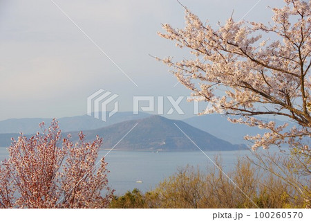 香川県さぬき市 大串自然公園から小豆島の白浜山を望む 香川県さぬき市 大串自然公園から小豆島の白浜山を望む 100260570