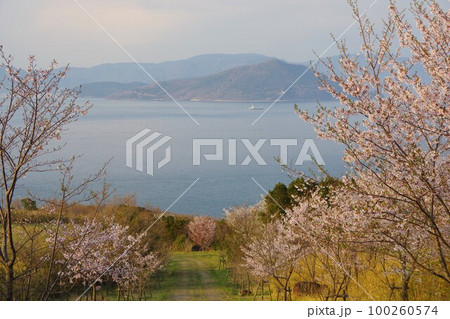 香川県さぬき市 大串自然公園から小豆島を望む 香川県さぬき市 大串自然公園から小豆島を望む 100260574