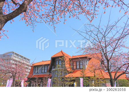 名古屋市、文化のみち二葉館と桜の風景 名古屋市、文化のみち二葉館と桜の風景 100261038