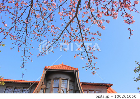 名古屋市、文化のみち二葉館と桜の風景 名古屋市、文化のみち二葉館と桜の風景 100261050