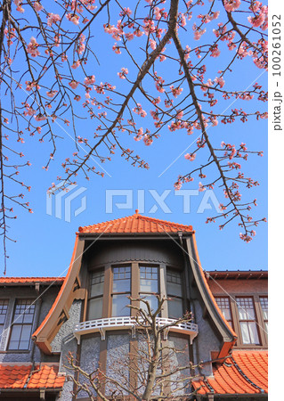 名古屋市、文化のみち二葉館と桜の風景 100261052