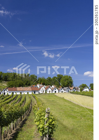 Traditional wine cellars with vineyard in Galgenberg near Wildendurnbach, Lower Austria, Austria Traditional wine cellars with vineyard in Galgenberg near Wildendurnbach, Lower Austria, Austria 100261785