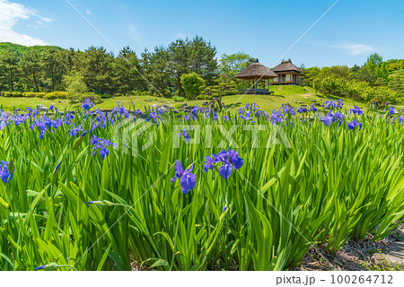 群馬県甘楽町 国指定名勝 楽山園 群馬県甘楽町 国指定名勝 楽山園 100264712