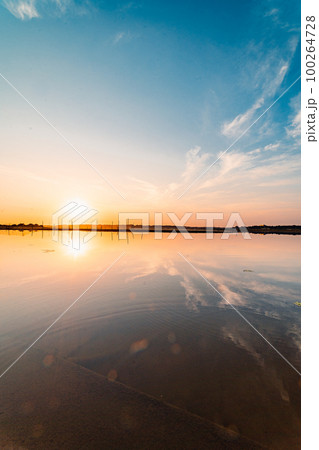 印旛沼の朝焼け 印旛沼の朝焼け 100264728