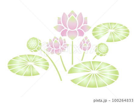 蓮の花 カラー 100264833