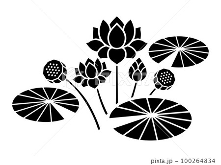 蓮の花 モノクロ 100264834