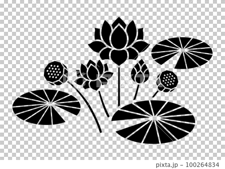 蓮の花 モノクロ 100264834
