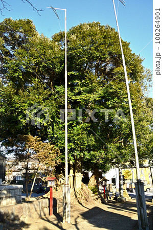 パワースポット 神奈川県相模原市緑区川尻の川尻八幡宮 パワースポット 神奈川県相模原市緑区川尻の川尻八幡宮 100264901