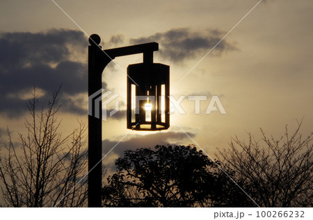 桜の蕾が膨らみ始めた春の公園で薄雲に霞んだ夕日を歩道の街灯と重ねて眺めた構図 桜の蕾が膨らみ始めた春の公園で薄雲に霞んだ夕日を歩道の街灯と重ねて眺めた構図 100266232