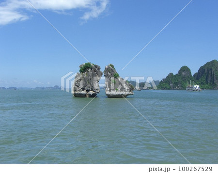 ベトナムのハロン湾の夫婦岩 100267529