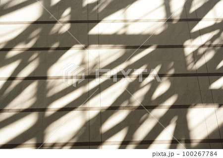 壁に差し込んだ日の光 100267784