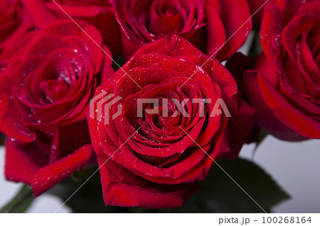 Bouquet of red (burgundy) roses on a white background. Water drops. Selective focus, close-up. Bouquet of red (burgundy) roses on a white background. Water drops. Selective focus, close-up. 100268164