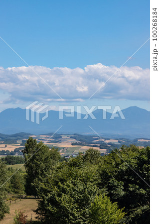 北海道美瑛町の夏の風景 北海道美瑛町の夏の風景 100268184