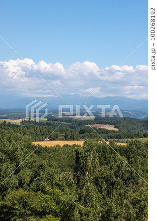 北海道美瑛町の夏の風景 北海道美瑛町の夏の風景 100268192