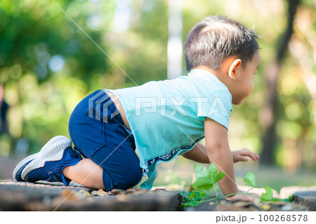 Little 1 year boy crawnling in city park green tree background Little 1 year boy crawnling in city park green tree background 100268578