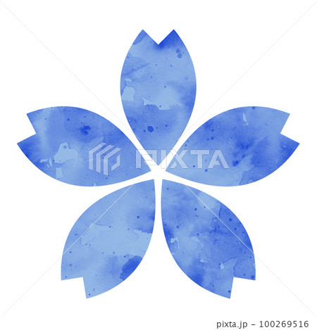 イラスト素材　水彩で描いた桜　青 100269516