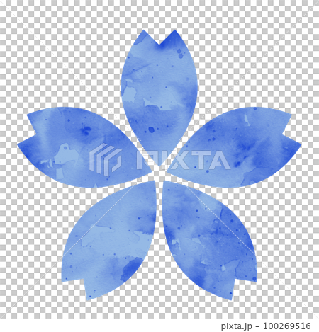 插圖素材櫻花繪水彩藍色 100269516