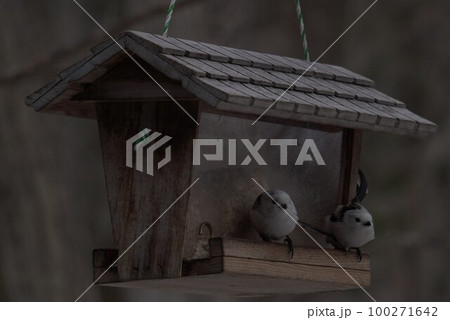 ツーショット 100271642