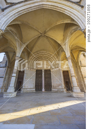 Basilique Notre-Dame de Beaune, Beaune, Burgundy, France 100271808